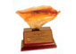 premio_cebiche